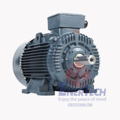 Động Cơ Điện 3 Pha Vỏ Gang ESC